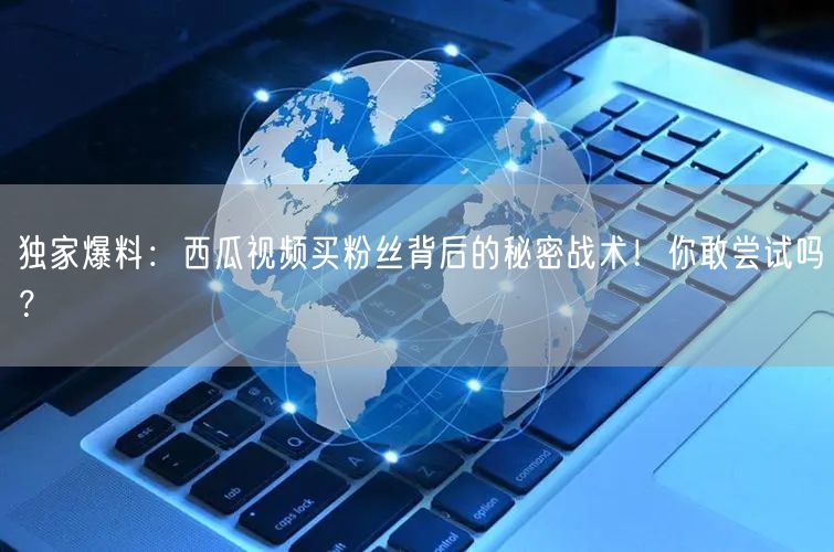 独家爆料：西瓜视频买粉丝背后的秘密战术！你敢尝试吗？