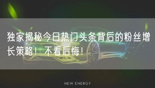 独家揭秘今日热门头条背后的粉丝增长策略！不看后悔！