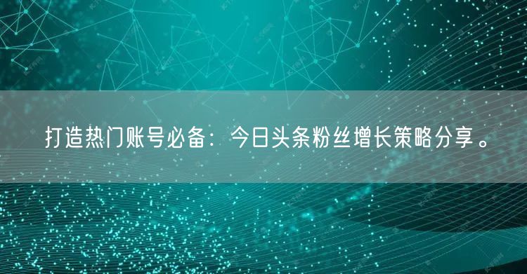 打造热门账号必备：今日头条粉丝增长策略分享。