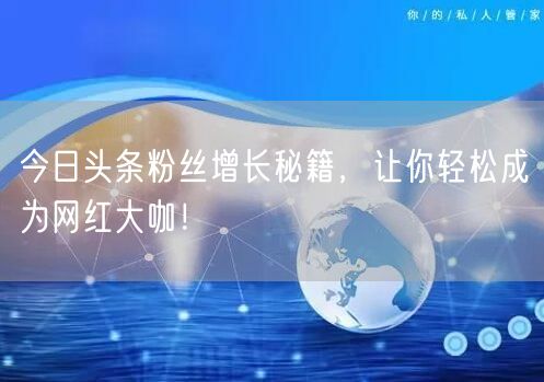 今日头条粉丝增长秘籍，让你轻松成为网红大咖！