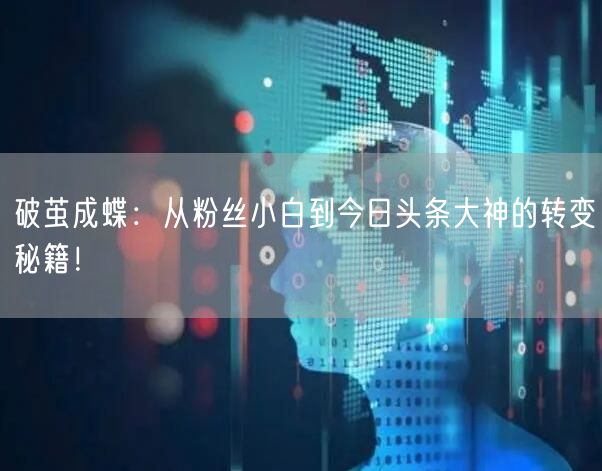 破茧成蝶：从粉丝小白到今日头条大神的转变秘籍！