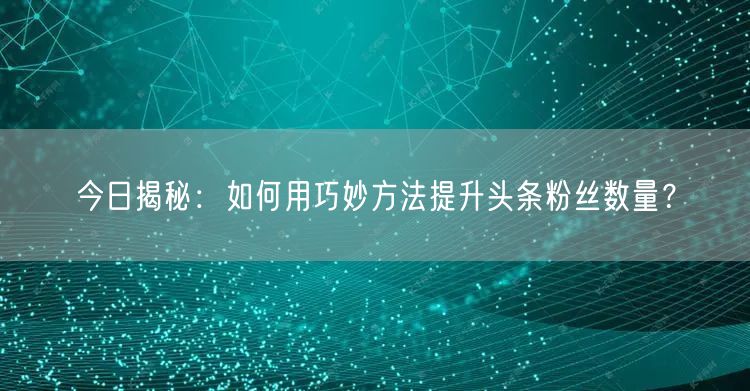 今日揭秘：如何用巧妙方法提升头条粉丝数量？