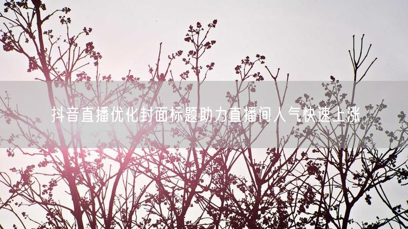 抖音直播优化封面标题助力直播间人气快速上涨