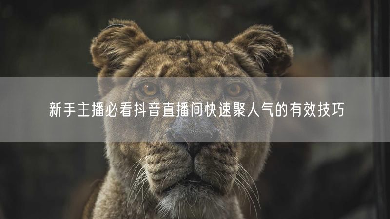 新手主播必看抖音直播间快速聚人气的有效技巧