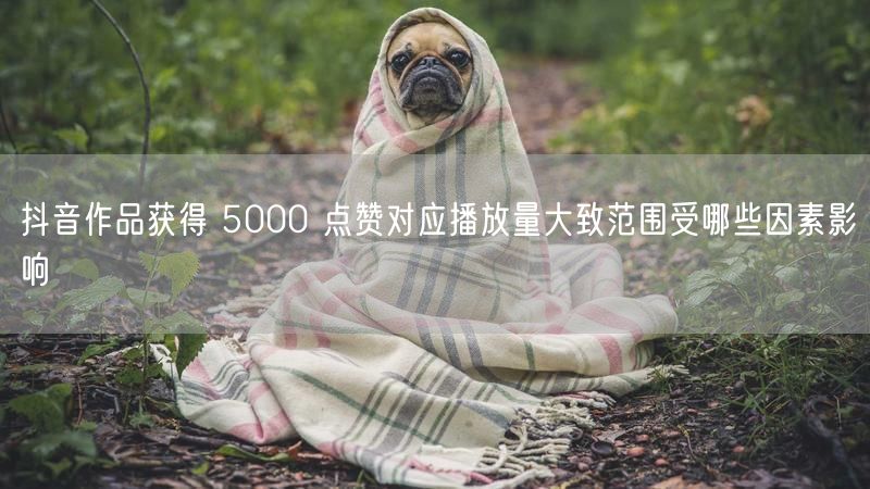 抖音作品获得 5000 点赞对应播放量大致范围受哪些因素影响
