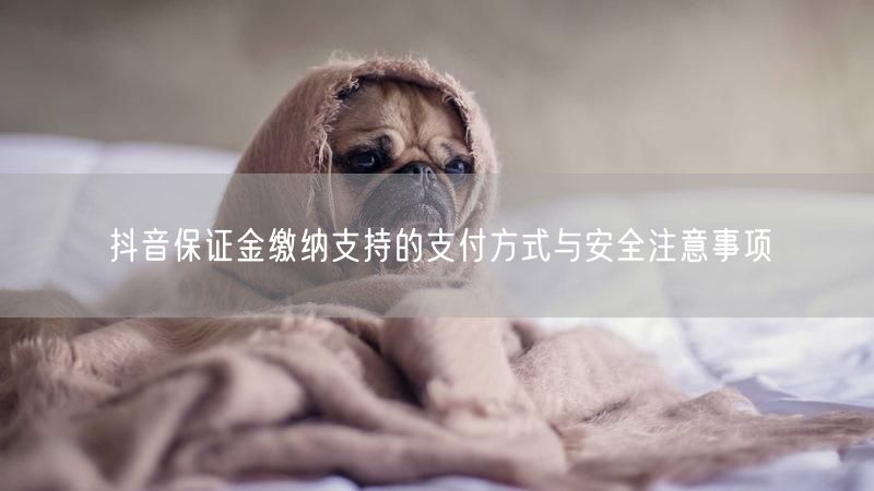抖音保证金缴纳支持的支付方式与安全注意事项