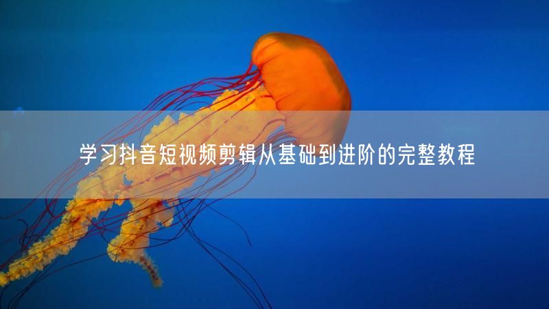 学习抖音短视频剪辑从基础到进阶的完整教程