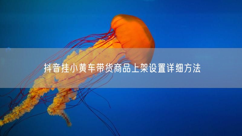 抖音挂小黄车带货商品上架设置详细方法