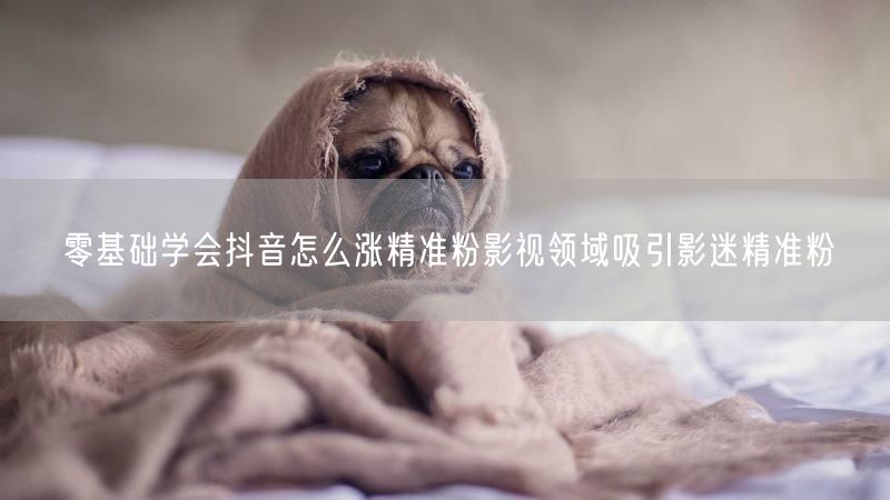 零基础学会抖音怎么涨精准粉影视领域吸引影迷精准粉