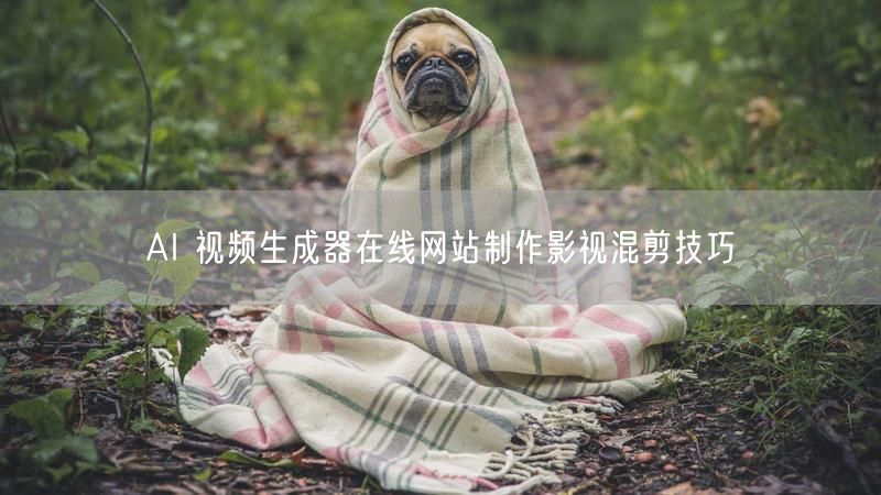 AI 视频生成器在线网站制作影视混剪技巧