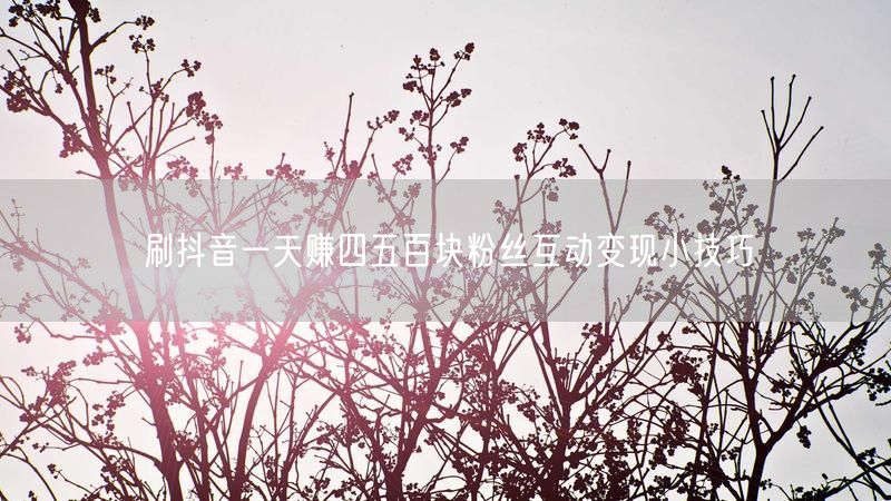 刷抖音一天赚四五百块粉丝互动变现小技巧