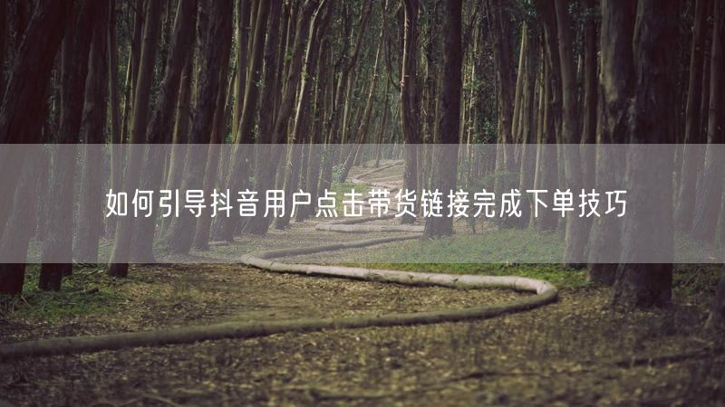 如何引导抖音用户点击带货链接完成下单技巧