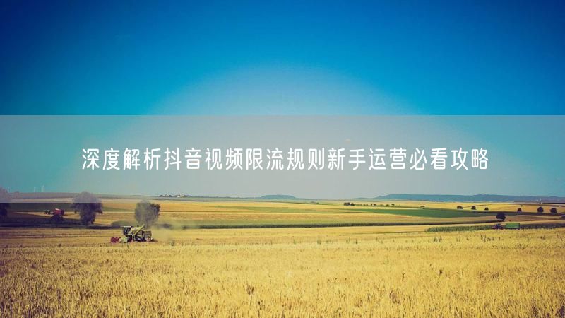 深度解析抖音视频限流规则新手运营必看攻略