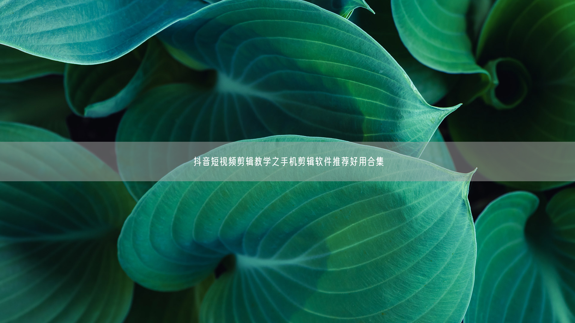抖音短视频剪辑教学之手机剪辑软件推荐好用合集