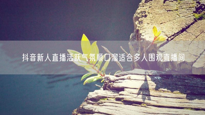 抖音新人直播活跃气氛顺口溜适合多人围观直播间