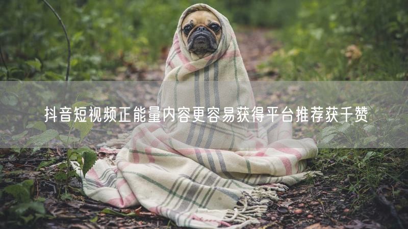 抖音短视频正能量内容更容易获得平台推荐获千赞