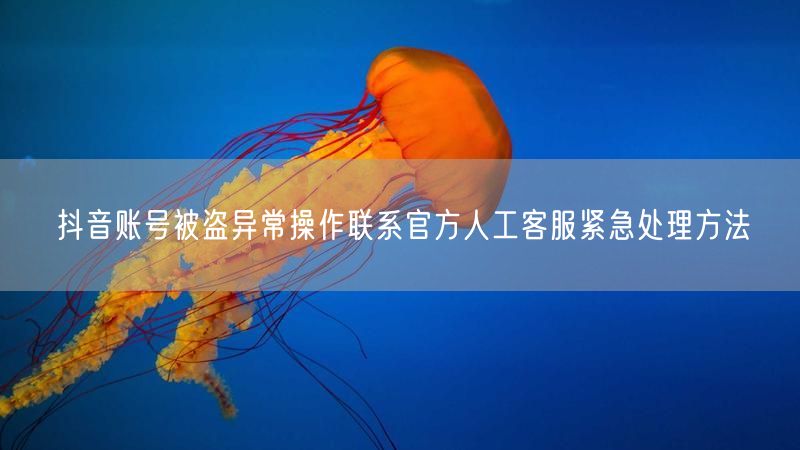抖音账号被盗异常操作联系官方人工客服紧急处理方法