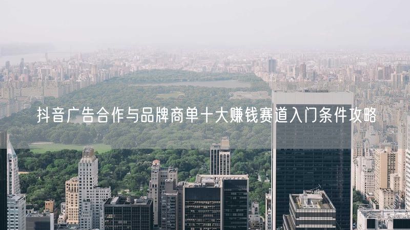 抖音广告合作与品牌商单十大赚钱赛道入门条件攻略