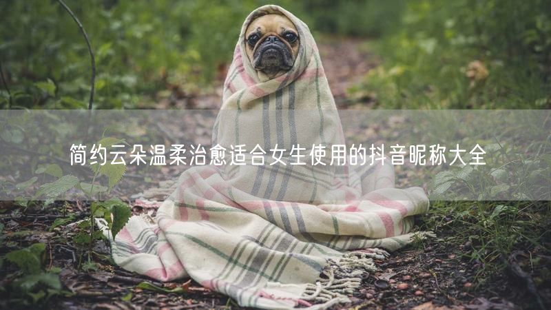 简约云朵温柔治愈适合女生使用的抖音昵称大全