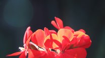 温润大气适合男士茶道花艺账号的寓意吉祥抖音名