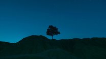 AI 真人照片制作情侣合照 AI 生成单人照片合成双人合影